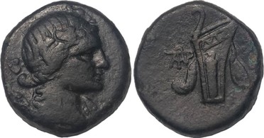 ������: 212-3041