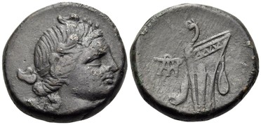 ������: 212-3041