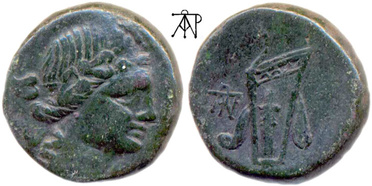 ������: 212-3041