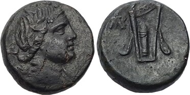 ������: 212-3041