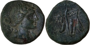 ������: 212-3041