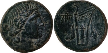 ������: 212-3041