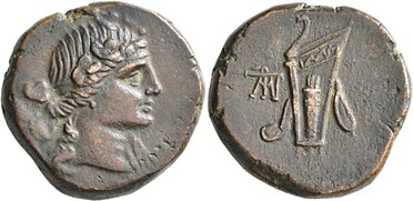 ������: 212-3041