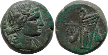 ������: 212-3041