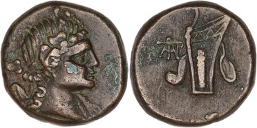 ������: 212-3041