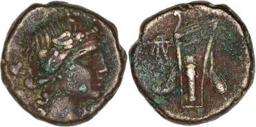 ������: 212-3041