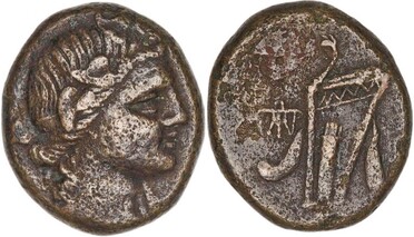 ������: 212-3041