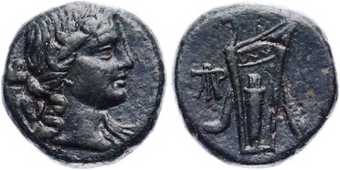 ������: 212-3041