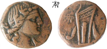 ������: 212-3041