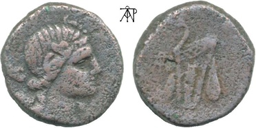 ������: 212-3041