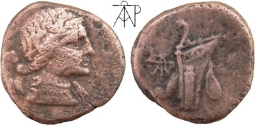 ������: 212-3041