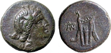 ������: 212-3041