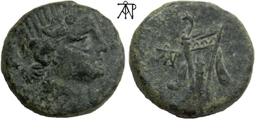 ������: 212-3041