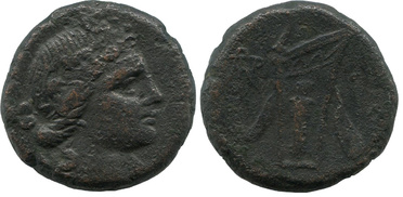 ������: 212-3041