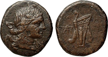 ������: 212-3041