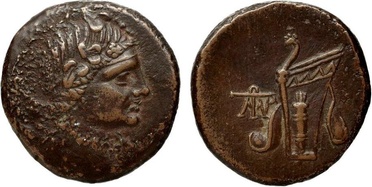 ������: 212-3041