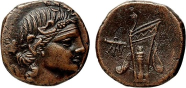 ������: 212-3041