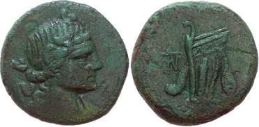 ������: 212-3041