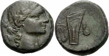 ������: 212-3041