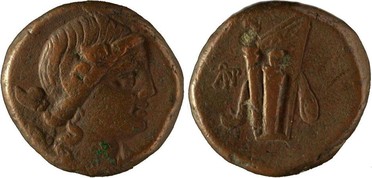 ������: 212-3041