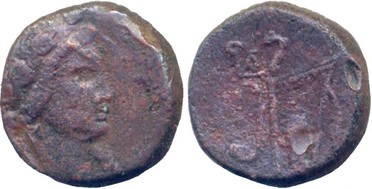 ������: 212-3042