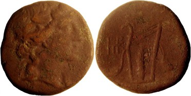 ������: 212-3043