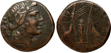 ������: 212-3044