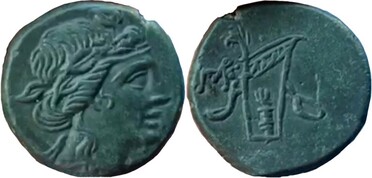 ������: 212-3047