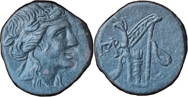 ������: 212-3047