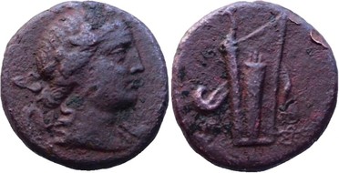 ������: 212-3050