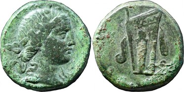 ������: 212-3050