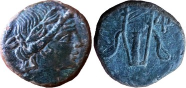 ������: 212-3051