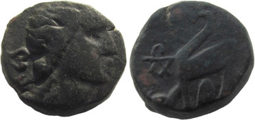 ������: 212-3365