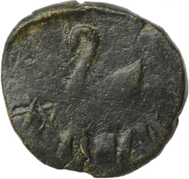 ������: 212-3365