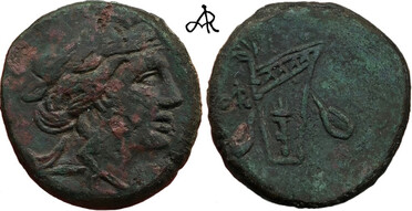 ������: 212-3399