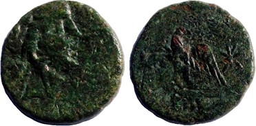 ������: 214-3134