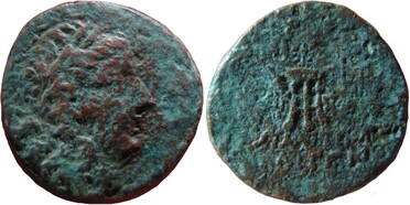 ������: 215-3127