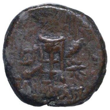 ������: 215-3168