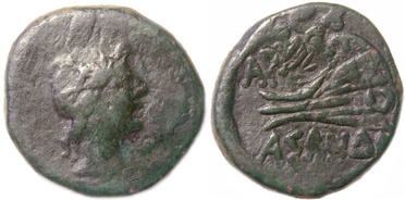 ������: 224-3093