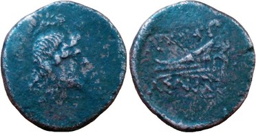 ������: 224-3093