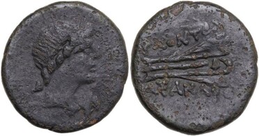 ������: 224-3093