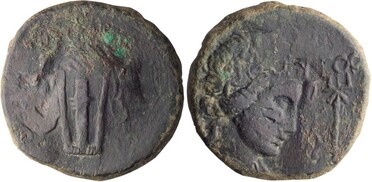 ������: 224-3093