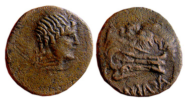 ������: 224-3236