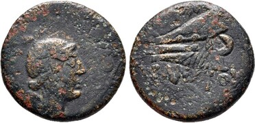 : 225-3116