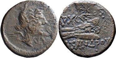 ������: 225-3116