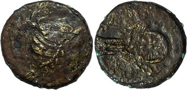 ������: 225-3116