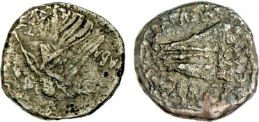 ������: 225-3116