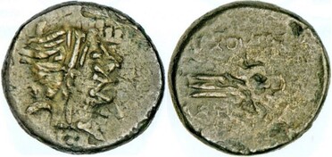 ������: 225-3116