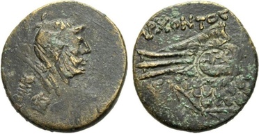 ������: 225-3116