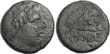 : 225-3116